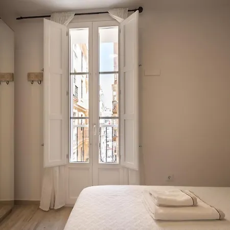 Apartment Entrecatedrales