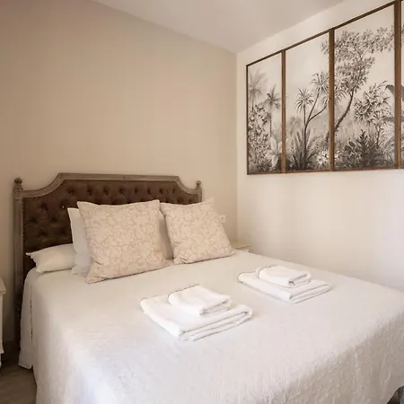 Appartement Entrecatedrales *